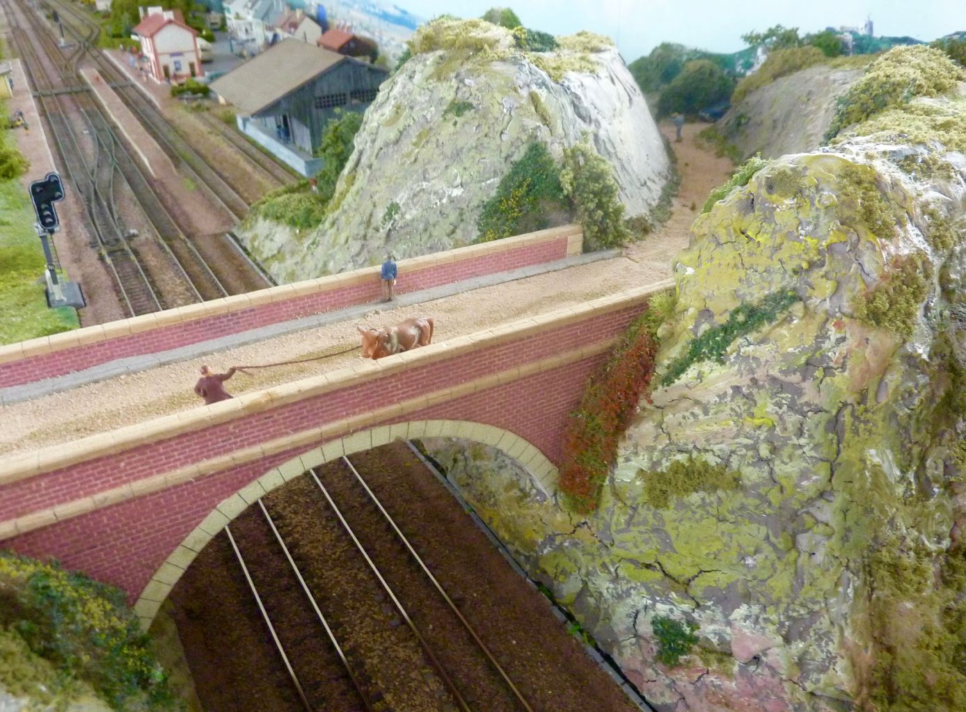 P1370506%2520%25281%2529