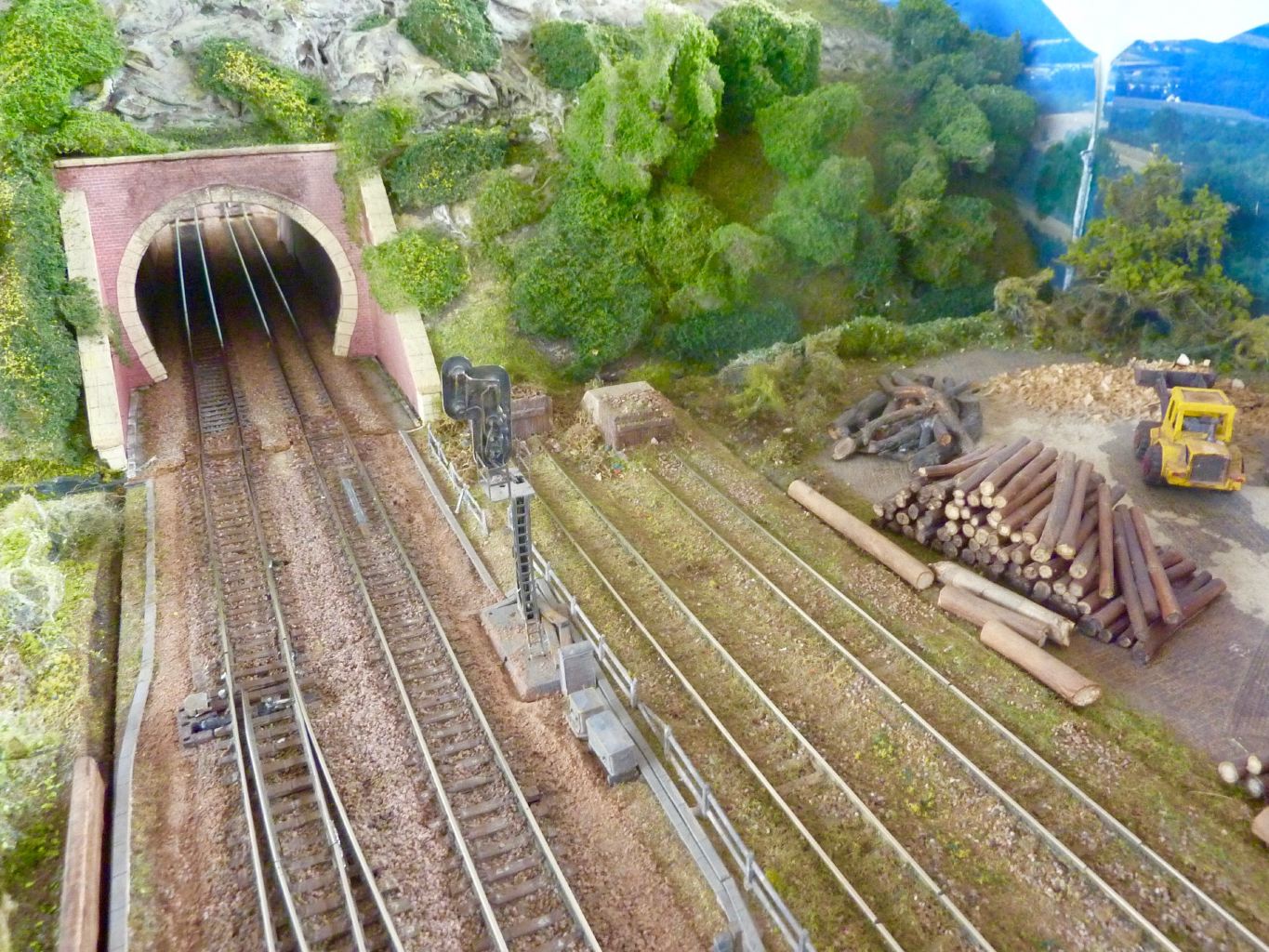 P1370509%2520%25281%2529